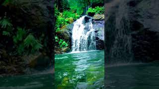 Natural Beauty of Kurudkut Deogarh Odisha. A short full screen mobile video.