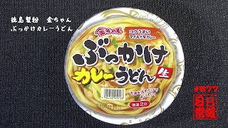 #677　徳島製粉　金ちゃん　ぶっかけカレーうどん　生