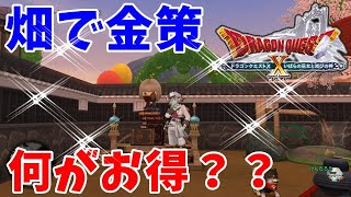 [ドラクエ10実況]畑に植えるのって何が一番お得？地味金策を考える[DQX]