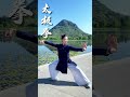 太极拳的魅力无法挡 taichi taichiquan kungfu wushu martialarts taiji taijiquan 太极 太極拳 功夫 武術 詠春 武俠