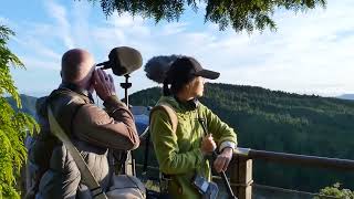 太平山翠峰湖環山步道授證為全球首條寧靜步道 紀錄影片-「走上一條寂靜山徑」(10分鐘版)