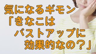 気になる疑問「きなこはバストアップに効くのか？」大豆イソフラボン　効果的な飲み方　バストアップ　戸瀬恭子　ジャックまま　育乳サロンセシル　東京　大阪