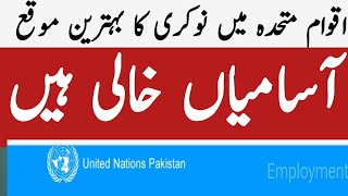 Latest United Nations Pakistan Jobs 2024 | UN Jobs in Pakistan WHO UNICEF UNV UN IOM vacancies