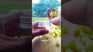 Delicious Fruit | Star Fruit Recipe |  #shorts #ytshorts #food