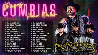 🔥 Los Alameños de La Sierra Mix ~100% Cumbias Sierreñas ~ Puras Excelentes Bailes De Alameños