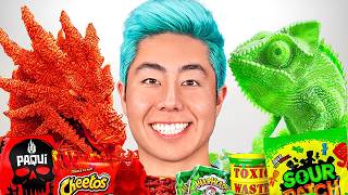 Extreme SPICY vs SOUR Food Art Challenge!