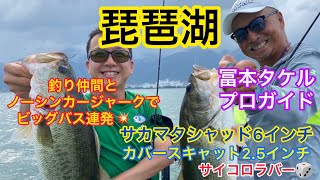 【琵琶湖】釣り仲間とビッグバス連発！冨本タケルプロガイド艇で、サカマタシャッドのノーシンカージャークでナイスバスが釣れました☆