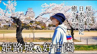 【お花見散策】姫路城桜満開と日本庭園「好古園」