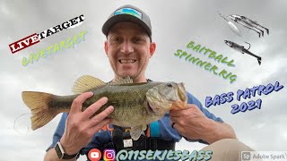 Is the LiveTarget BaitBall Spinner Rig worth the Price!!!!!