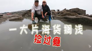 底潮浑浊杂石坑，抽干后一大片海货搁浅捡过瘾，吴嫂乐得合不拢嘴