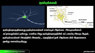 6 5 2 நரம்புத் தொகுதி