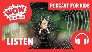 Can Spider Silk Save the Planet?! | Wow in the World | Podcast for Kids | Tinkercast