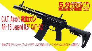 【5分でわかる】C.A.T. Airsoft 電動ガン AR-15 Legend 8.5\