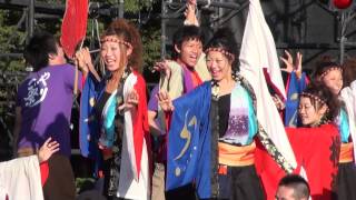 極津2013(総踊り) ④ 第14回 こいや祭り 丼舞Re  大阪城公園太陽の広場会場