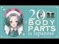 【Japanese Vocabulary】20 Body Part Names in Japanese【Japanese teacher / Bilingual Vtuber】