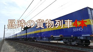 静岡県西部JR貨物記 2023/01/07 昼時に通過する西濃運輸カンガルーライナーSS60他 東海道本線