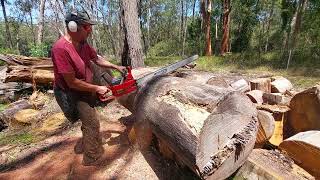 solo 670 chainsaw  42\