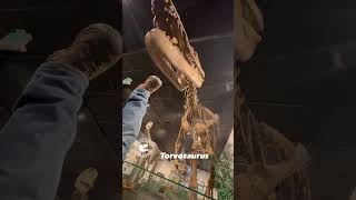 Torvosaurus: Wicked Jurassic Predator on Display