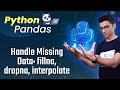 Python Pandas Tutorial 5: Handle Missing Data: fillna, dropna, interpolate