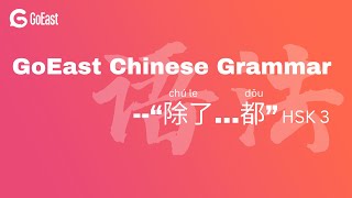 Chinese Grammar Point "除了...都" (HSK 3)