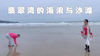 离开东山岛，驱车100公里来到六鳌镇，就为了买六鳌蜜薯值得吗