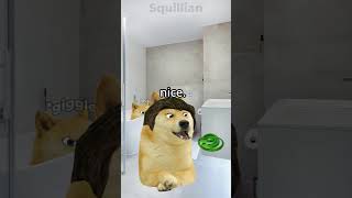 Lil doge pranks his family