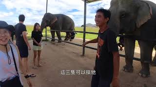 泰國芭達雅【Elephant Jungle Sanctuary】大象友善保育園區，透過親身體驗的行動，一起照顧曾經受過人類傷害的大象，讓他們開心過生活！自己也開心！