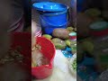 decorate egg chana jhal muri viral shorts trending streetfood