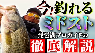 【バス釣り】プロが教える！最近ハマってるミドストのやり方と重要なポイントとは？