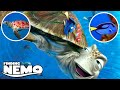 Learn Animals with 'Finding Nemo' | 06 | Wildlife Adventure | Storyline