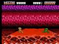 NES Battletoads Incredible tricks video (TAS)