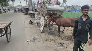 কি হবে আদি বুড়িগঙ্গার, কে করবে রক্ষা ? Adi Buriganga River