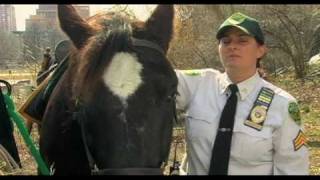 It's My Park: Mounted Parks Enforcement Patrol