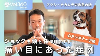 【Vet360 Prime/short ver.】アツシ・ナカムラの救急の話： ショックを頭と体で理解する- 心タンポナーデ編-/ #1 痛い目にあった症例