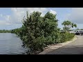 how to explore camana bay waterfront town center cayman islands 4k cayman islands travel vlog