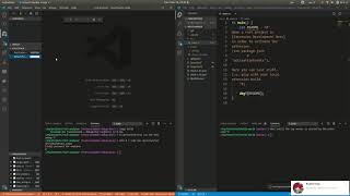 [rust-analyzer] Debug Rust LSP server demo