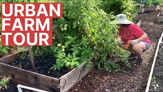 Urban Farm Grows Food For Underserved Community