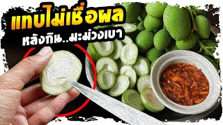 กินให้เป็นยา..!! หลังกิน มะม่วงเบา  มีอาการเหล่านี้กลับดีขึ้น คนรู้น้อยมาก | Nava DIY