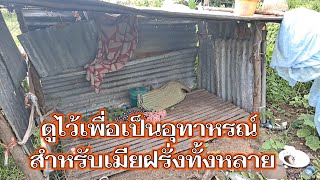 บ้านที่ป้ามาดามอาศัยล่าสุด(คลิปนี้ทำขึ้นเพื่อเป็นอุทาหรณ์เท่านั้นอย่าพาดพิงบุคคลอื่น)