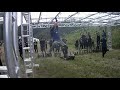 スパルタンレース 2019 ビースト spartan race beast