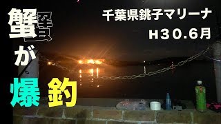 【H３０.６月釣行　千葉県銚子マリーナ】カニが爆釣した！