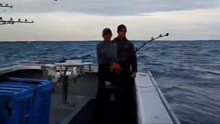 Giant Bluefin Tuna - 1100lbs+ on Stand-up Tackle