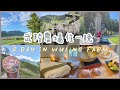 【Wuling Farm】Wisteria Is Blooming｜Stay At Wuling Villa｜Best Assam Tea Ice Cream