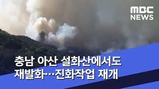 충남 아산 설화산에서도 재발화…진화작업 재개 (2019.04.05/뉴스투데이/MBC)