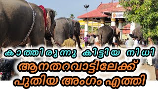 പുതിയ ആന എത്തി ..new elephant arrived.... #keralaelephant  #wildelephant