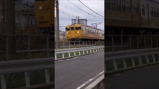 115系の日 #鉄道 #jr西日本 #115系#shorts