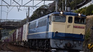 2019-1-20　5086レ　清水〜興津　EF65-2065