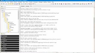 Go programming using the Zeus IDE