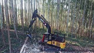 Harvester - Eucalyptus debarking