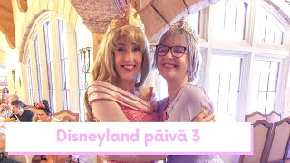 Täytin 30 Disneylandissa